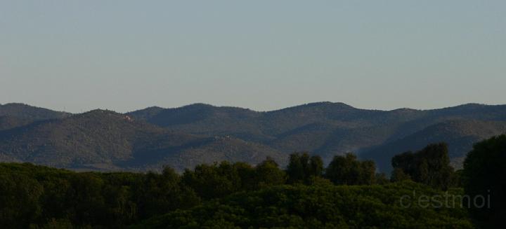 IMG_0013.jpg