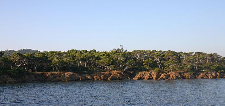 IMG_0035.jpg