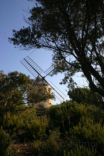 IMG_0055.JPG