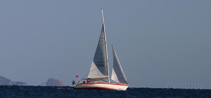 IMG_0116.jpg