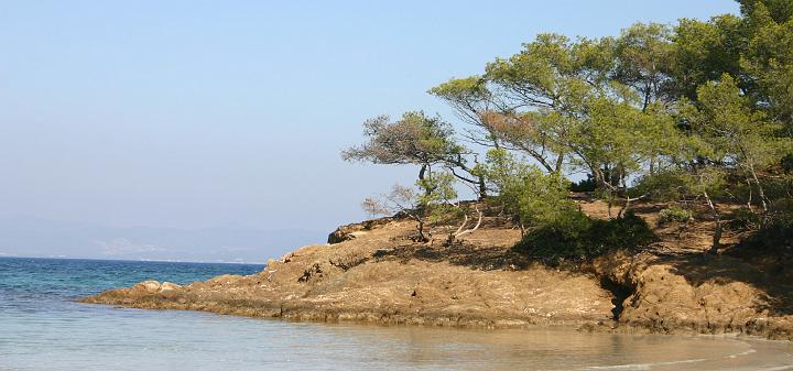 IMG_0124.jpg