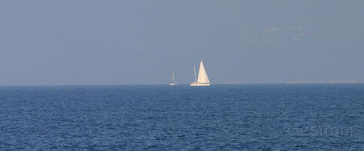 IMG_1557.jpg