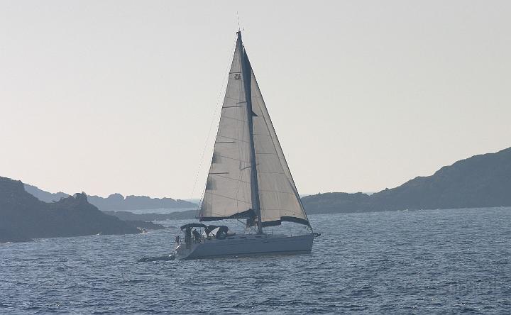 IMG_1568.jpg