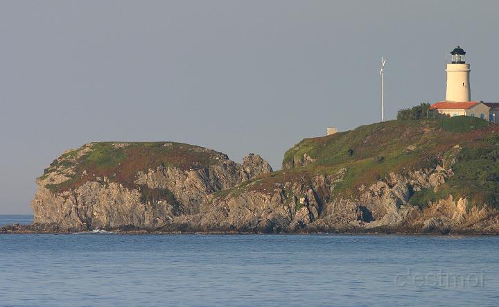 IMG_1393.jpg