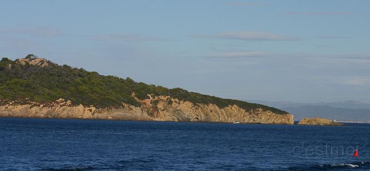 IMG_0890.JPG