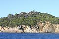 IMG_0875