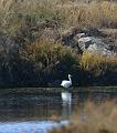 IMG_0039