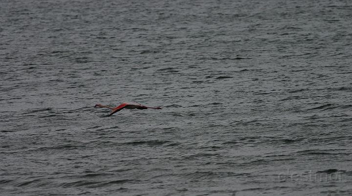 IMG_1214.jpg