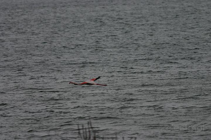 IMG_1215.JPG