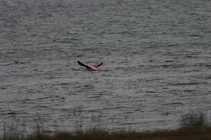 IMG_1216.JPG