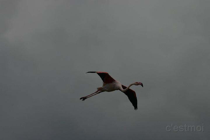 IMG_1228.JPG