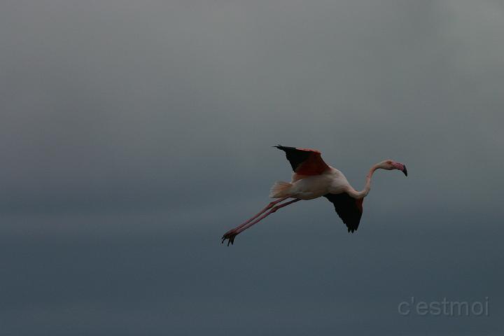 IMG_1230.JPG