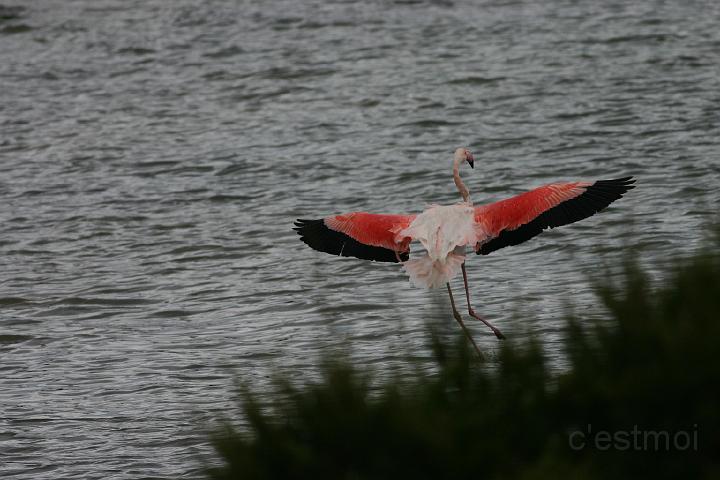 IMG_1234.JPG