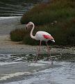 IMG_1244