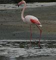IMG_1247