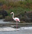 IMG_1255
