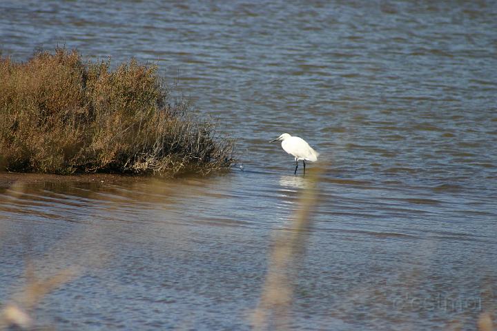IMG_0744.JPG