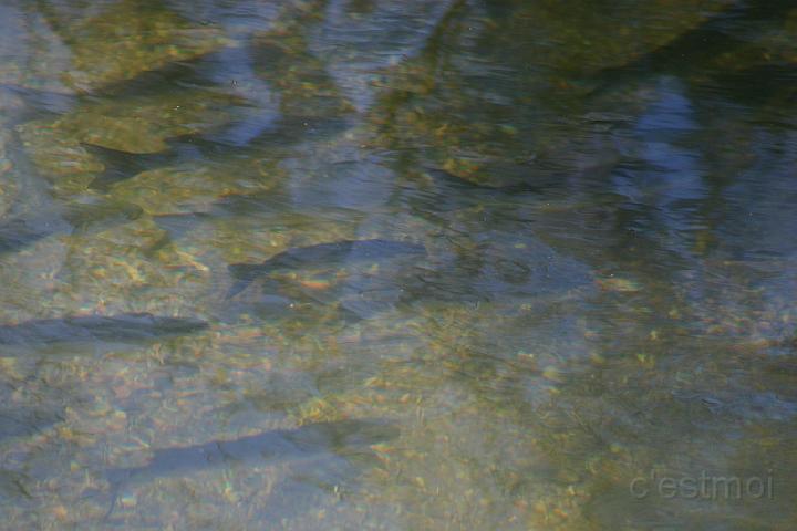 IMG_0759.JPG