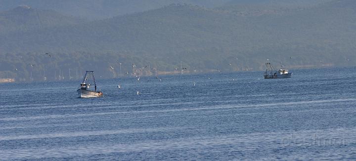 IMG_0006.JPG