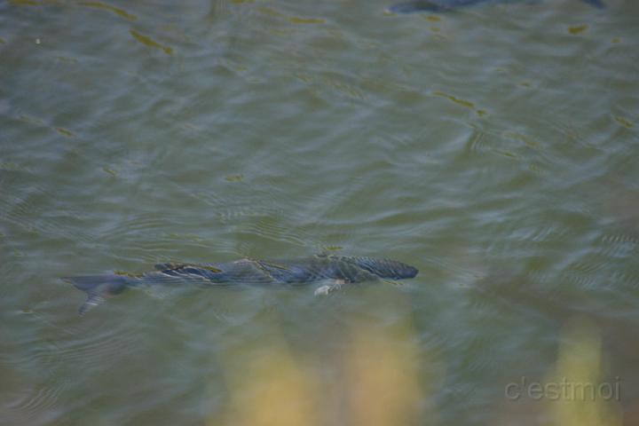 IMG_0034.JPG