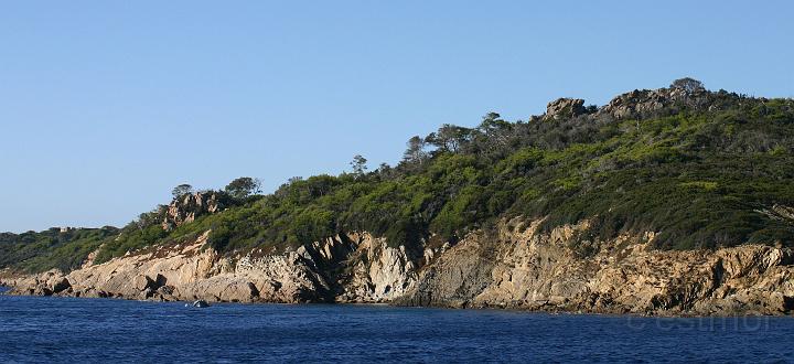 IMG_0040.JPG
