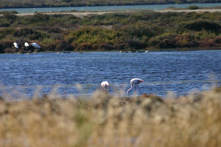 IMG_0042.JPG