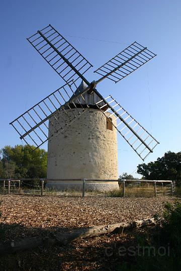 IMG_00491.JPG