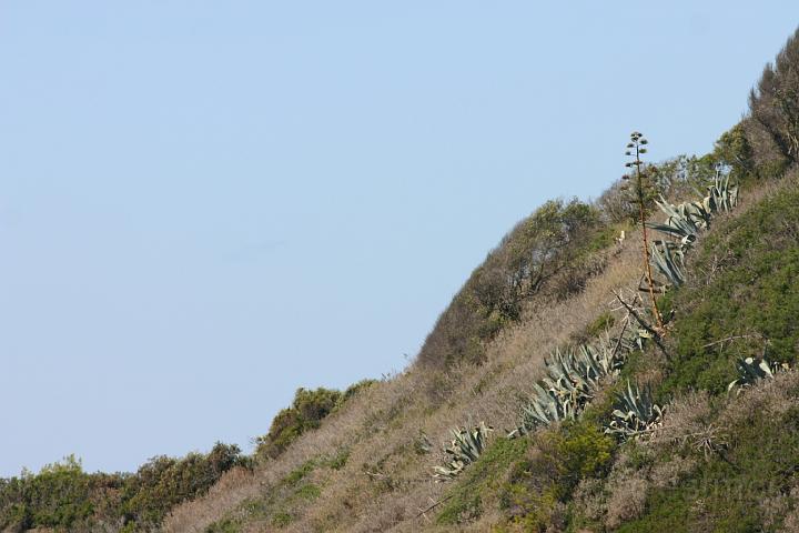 IMG_0118.JPG
